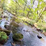 Im Harz זנקט אנדריאסברג