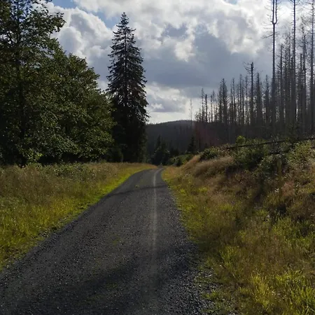 Im Harz Sankt Andreasberg