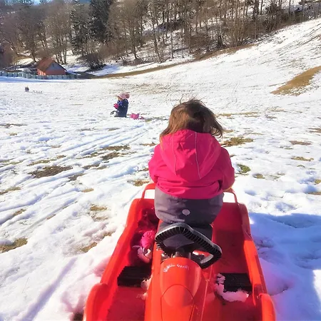 Im Harz