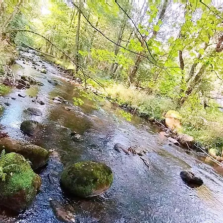 Im Harz Sankt Andreasberg
