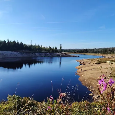 Daire Im Harz *